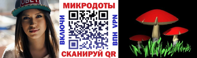 Псилоцибиновые грибы Psilocybe это формула Ельня